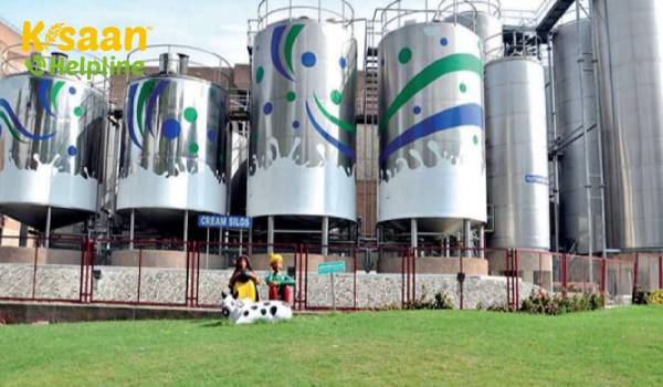 कोरोनवायरस-प्रेरित लॉकडाउन के बाद मांग में कमी के कारण डेयरी उत्पादों की बिक्री में कमी आई है